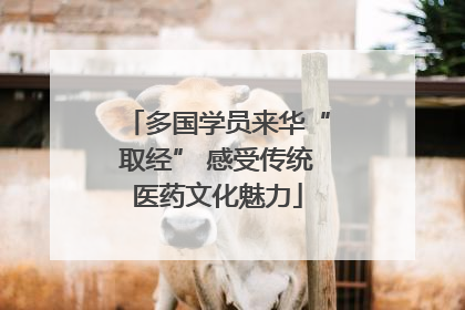 多国学员来华“取经” 感受传统医药文化魅力