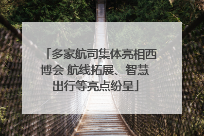 多家航司集体亮相西博会 航线拓展、智慧出行等亮点纷呈