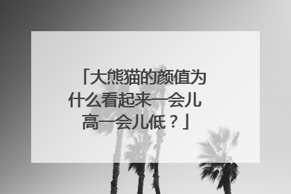 大熊猫的颜值为什么看起来一会儿高一会儿低？