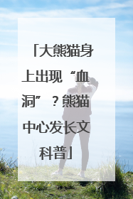 大熊猫身上出现“血洞”？熊猫中心发长文科普