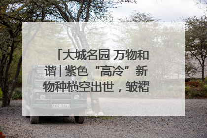 大城名园 万物和谐│紫色“高冷”新物种横空出世，皱褶叶片暗藏进化密码