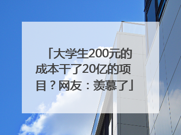 大学生200元的成本干了20亿的项目？网友：羡慕了