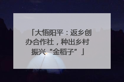 大悟阳平：返乡创办合作社，种出乡村振兴“金稻子”
