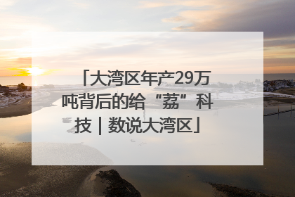 大湾区年产29万吨背后的给“荔”科技｜数说大湾区