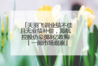 天羽飞训业绩不佳且无业绩补偿，海航控股仍豪掷8亿收购丨一周市场观察