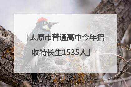太原市普通高中今年招收特长生1535人