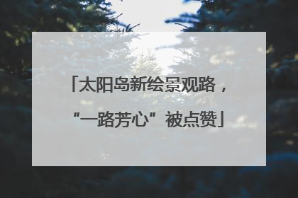 太阳岛新绘景观路，“一路芳心”被点赞