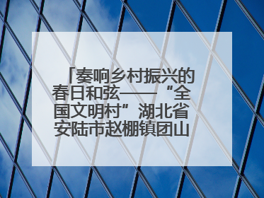奏响乡村振兴的春日和弦——“全国文明村”湖北省安陆市赵棚镇团山村农文旅融合发展见闻