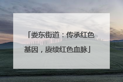 娄东街道：传承红色基因，赓续红色血脉