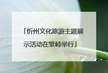 忻州文化旅游主题展示活动在繁峙举行