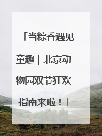 当粽香遇见童趣｜北京动物园双节狂欢指南来啦！