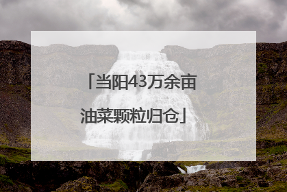 当阳43万余亩油菜颗粒归仓