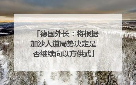 德国外长：将根据加沙人道局势决定是否继续向以方供武