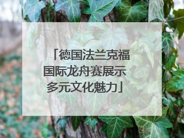 德国法兰克福国际龙舟赛展示多元文化魅力