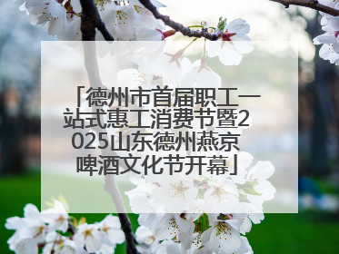 德州市首届职工一站式惠工消费节暨2025山东德州燕京啤酒文化节开幕