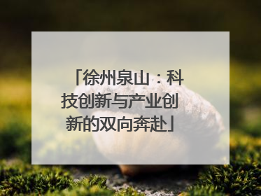 徐州泉山：科技创新与产业创新的双向奔赴