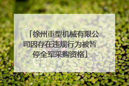 徐州重型机械有限公司因存在违规行为被暂停全军采购资格