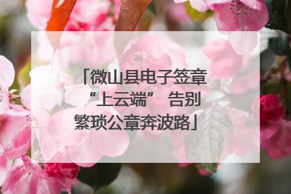 微山县电子签章“上云端” 告别繁琐公章奔波路