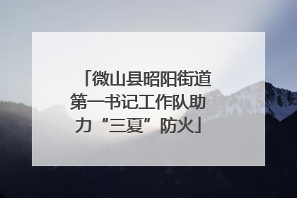 微山县昭阳街道第一书记工作队助力“三夏”防火