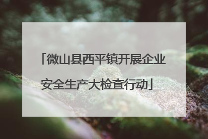 微山县西平镇开展企业安全生产大检查行动