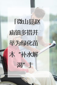 微山县赵庙镇多措并举为绿化苗木“补水解渴”