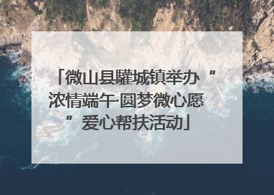 微山县驩城镇举办“浓情端午·圆梦微心愿”爱心帮扶活动