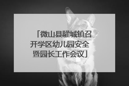 微山县驩城镇召开学区幼儿园安全暨园长工作会议