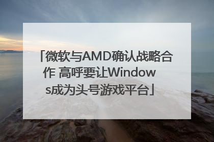 微软与AMD确认战略合作 高呼要让Windows成为头号游戏平台
