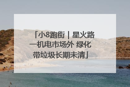 小8跑街｜星火路一机电市场外 绿化带垃圾长期未清