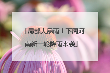 局部大暴雨！下周河南新一轮降雨来袭