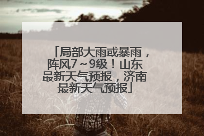 局部大雨或暴雨，阵风7～9级！山东最新天气预报，济南最新天气预报