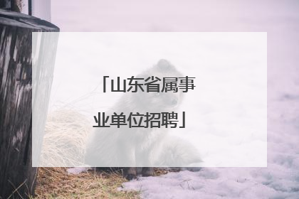 山东省属事业单位招聘
