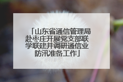 山东省通信管理局赴枣庄开展党支部联学联建并调研通信业防汛准备工作