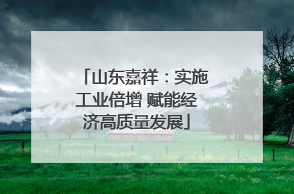 山东嘉祥：实施工业倍增 赋能经济高质量发展