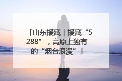 山东援藏｜援藏“5288”，高原上独有的“烟台浪漫”