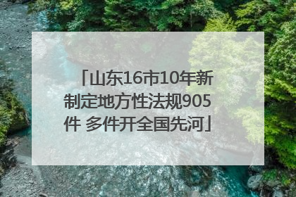 山东16市10年新制定地方性法规905件 多件开全国先河
