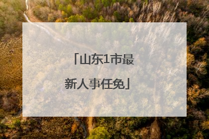山东1市最新人事任免
