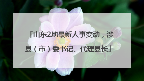 山东2地最新人事变动，涉县（市）委书记、代理县长