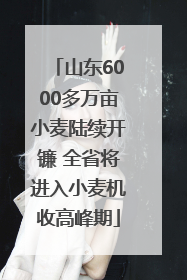 山东6000多万亩小麦陆续开镰 全省将进入小麦机收高峰期