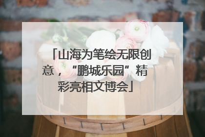 山海为笔绘无限创意，“鹏城乐园”精彩亮相文博会