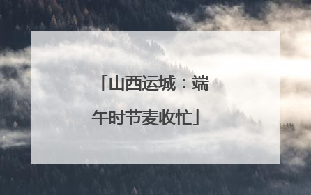 山西运城：端午时节麦收忙