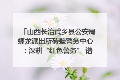 山西长治武乡县公安局蟠龙派出所砖壁警务中心：深耕“红色警务” 谱写“平安答卷”