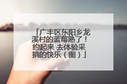 广丰区东阳乡龙溪村的蓝莓熟了！约起来 去体验采摘的快乐（图）