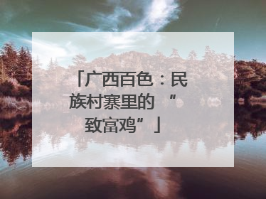 广西百色：民族村寨里的 “致富鸡”