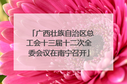 广西壮族自治区总工会十三届十二次全委会议在南宁召开