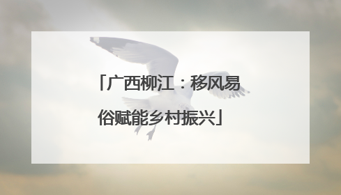 广西柳江：移风易俗赋能乡村振兴