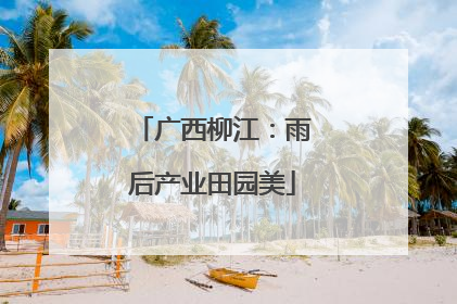 广西柳江：雨后产业田园美