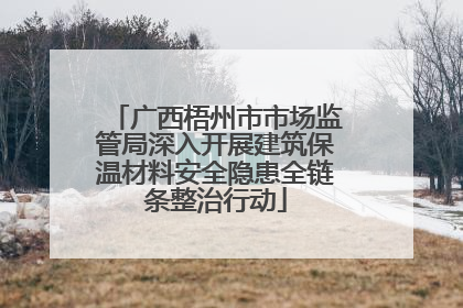 广西梧州市市场监管局深入开展建筑保温材料安全隐患全链条整治行动