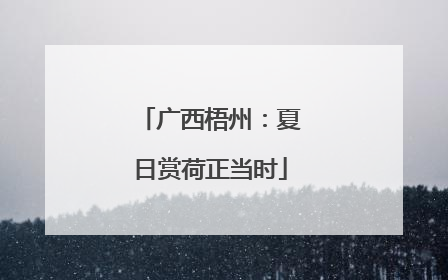 广西梧州：夏日赏荷正当时
