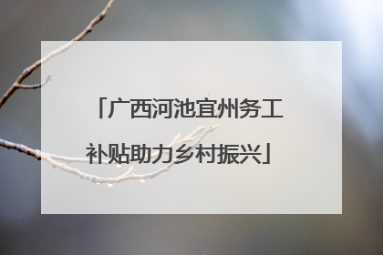 广西河池宜州务工补贴助力乡村振兴